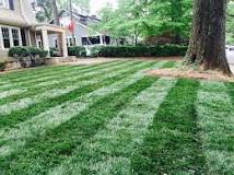 Image result for fungal disease control in lawn
