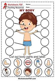 Some of the worksheets displayed are body parts, name parts of the body, lesson parts of the body, parts of human body matching match the, clothes and body parts match the, students work. Cut Out Body Parts Worksheets Pdf