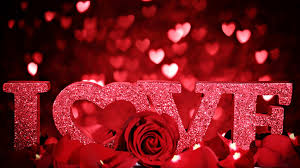 i love roses i love you hd wallpaper