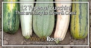 Are there different types of zucchini?