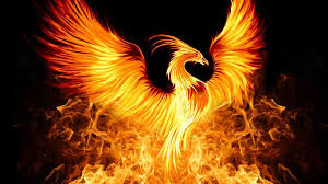 as a phoenix rising from the ashes