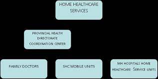 organizational structure of home health
