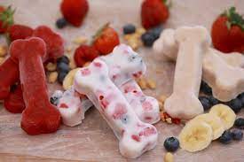 yogurt and berries dog treats gemma s