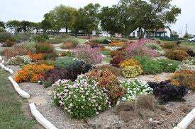 master gardeners picks are north texas