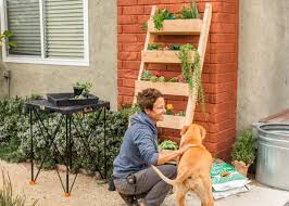 Easy Diy Planter Ladder Living Wall