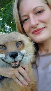 It is with the heaviest of hearts that we announce the passing of our beloved Finnegan Fox. First I want to apologize for taking so long to make the announcement, Finnegan passed about 2 months ago. ...