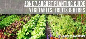 Vegetables To Plant In August In Zone 7