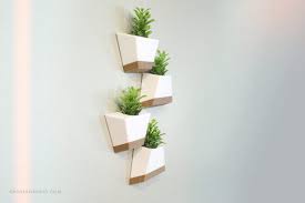 modern wall planter set indoor