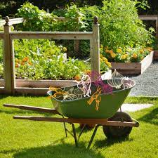 16 backyard vegetable garden ideas for