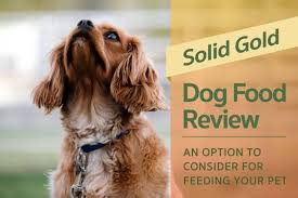 Solid Gold Dog Food Review An Option To Consider For