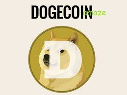 Nov 26, 2020 · the organization helps charities from all sorts of backgrounds accept bitcoin and other cryptocurrencies, making it easier for donors and charities to. The History Of Dogecoin The Cryptocurrency That Surged After Elon Musk Tweeted About It But Started As A Joke On Reddit Years Ago Cryptocurrency Buy Cryptocurrency Virtual Currency