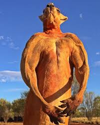 Jul 16, 2021 · yao, who stands 7 feet and 6 inches tall, is an nba legend. Roger The Red Kangaroo Stood 6 Feet 7 Inches Tall And Weighed Nearly 200 Pounds He Was Rescued As An Orphaned Joey Trapped Inside His Dead Mother S Pouch When A Man Named