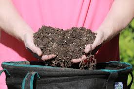 Gardner S Guide To Reuse Potting Soil