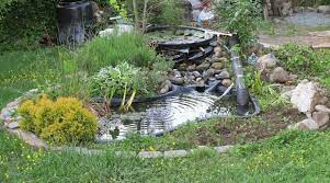Sustainable Backyard Pond
