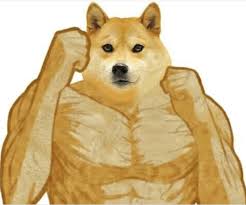 49 swole doge vs cheems memes that say a lot about society. Doge Cheems Weird Memes And Meme Templates Doggo Dog Cheems Beingcricky