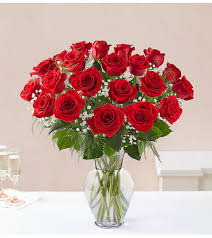 red roses 2 dozen send to