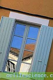 Прозорецът е отвор в стената на сграда, предназначен за достъп на светлина и чист въздух. Anglijski Prozorec Ksha 2021