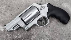 Image result for S&W GOVERNOR