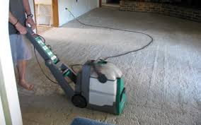clover house diy carpet cleaning