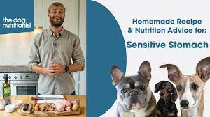 sensitive stomachs homemade dog food