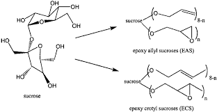 sucrose based epoxy monomers