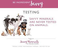 no testing mineral makeup diy