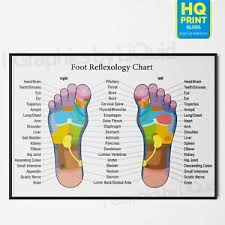 Details About Foot Reflexology Colour Coded Massage Joint Anatomy Chart Poster Laminate A4 A3