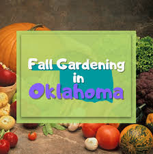 Fall Gardening In Oklahoma