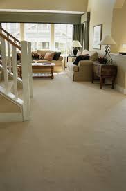 green carpet cleaning tips that will