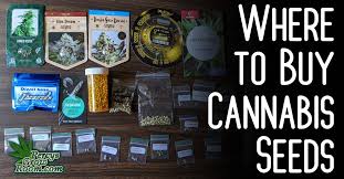 where to cans seeds percys