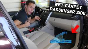 carpet wet car smells wet