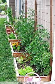 They contain very small, densely packed particles that hold moisture but don't allow much air space for plant roots. Top 20 Ideas For Vegetable Garden Designs For Backyard Landscaping Garden Layout Vegetable Small Vegetable Gardens Backyard Vegetable Gardens