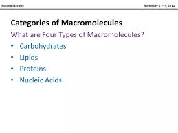 ppt categories of macromolecules what