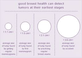 Breast Cancer Tumor Size Chart Brain Tumor Size Chart