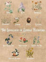 edible flowers and their meaning free