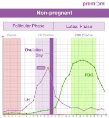The Hormonal Relationship Between Lh Pdg And Hcg Easy