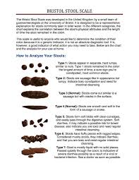 79 Abiding Poop Chart What Does It Mean