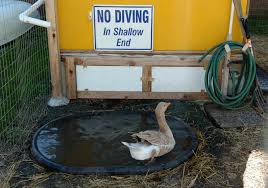 DIY Duck Pond Filter Saveitforparts
