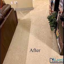 carpet cleaning services local carpet