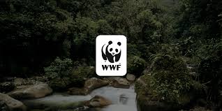 What is the biggest wildlife charity in the world?