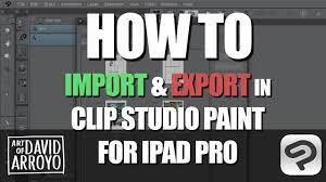 clip studio paint for ipad pro