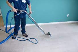 best carpet cleaning services ta fl