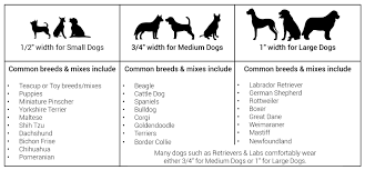 Dog Harness Roman Style Original Designs By Lupine Pet
