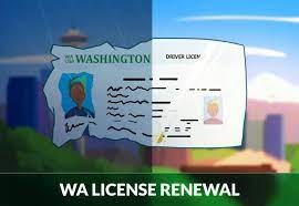 washington driver s license renewal