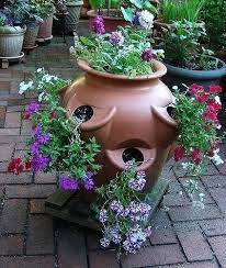 Strawberry Pot Plant Ideas