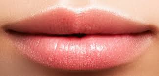lip reduction surgery cost risks and