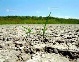 17 iunie - Ziua mondială pentru combaterea deşertificării şi a secetei (ONU) | AGERPRES • Actualizează lumea.
