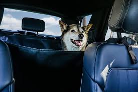 10 Best Dog Seat Covers In 2023