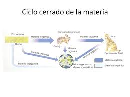 Resultado de imagen para ciclo cerrado