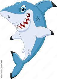 cartoon funny shark posing stock vector